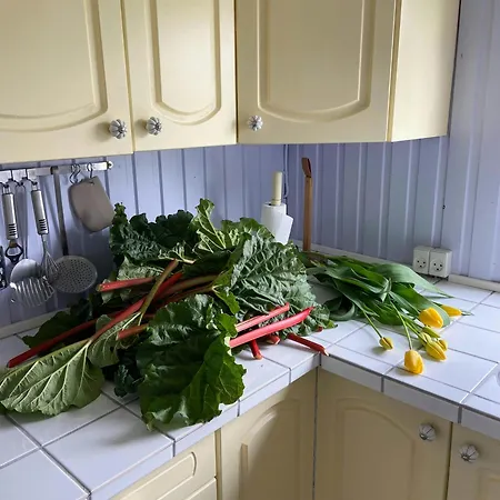 Semesterbostad Nordic Style And Nature Between Sea And Sky