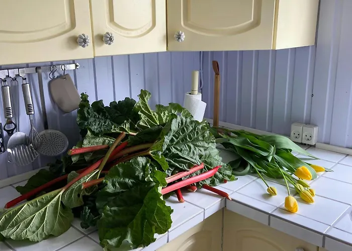 Nordic Style And Nature Between Sea And Sky Hébergement de vacances